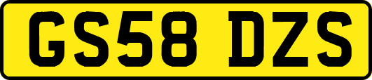 GS58DZS