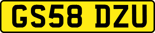 GS58DZU