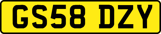 GS58DZY