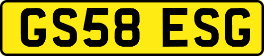 GS58ESG