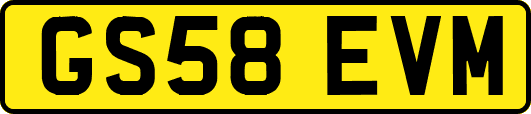 GS58EVM