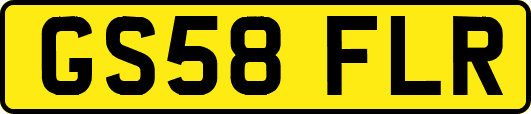 GS58FLR