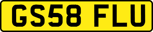GS58FLU