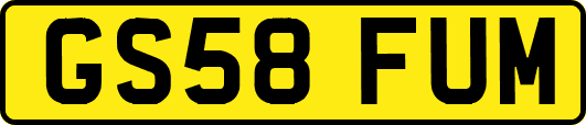 GS58FUM