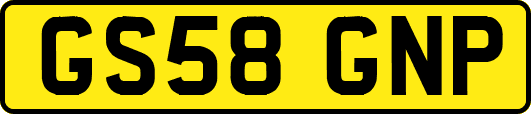 GS58GNP