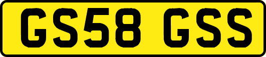 GS58GSS