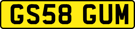 GS58GUM