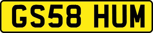 GS58HUM