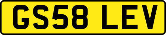 GS58LEV