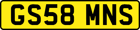 GS58MNS
