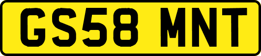 GS58MNT