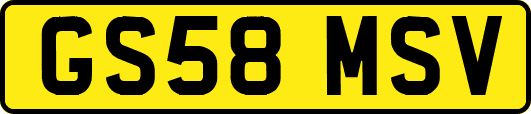 GS58MSV