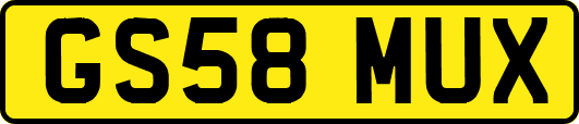 GS58MUX
