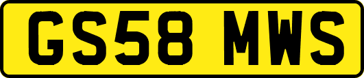 GS58MWS