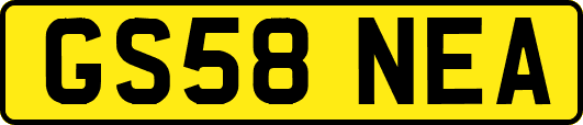 GS58NEA