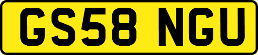 GS58NGU