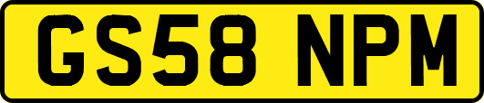 GS58NPM
