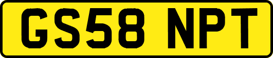 GS58NPT