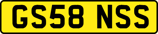 GS58NSS