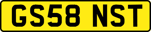 GS58NST