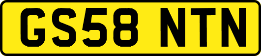 GS58NTN
