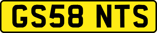 GS58NTS