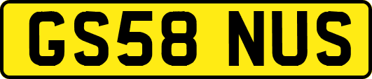 GS58NUS