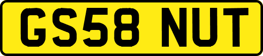 GS58NUT