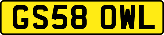 GS58OWL