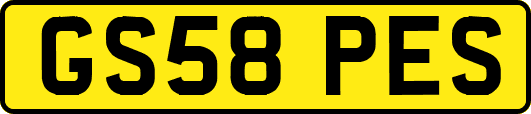 GS58PES