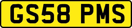 GS58PMS