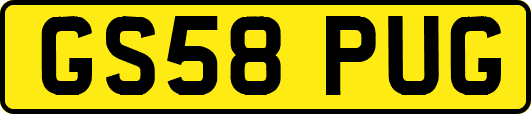 GS58PUG