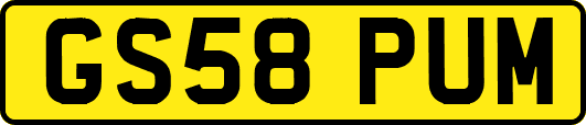 GS58PUM