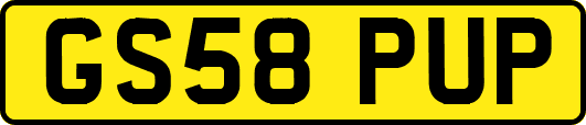 GS58PUP