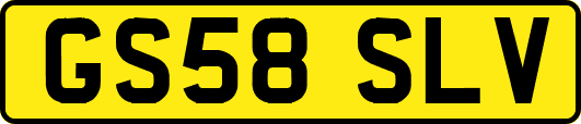 GS58SLV