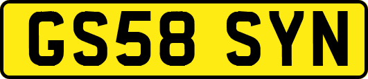 GS58SYN