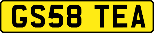 GS58TEA