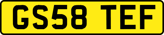 GS58TEF
