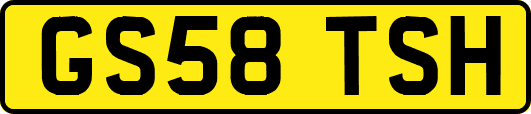 GS58TSH