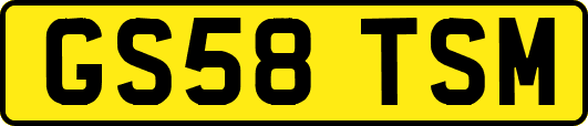 GS58TSM