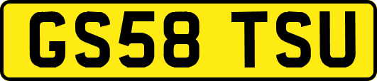GS58TSU