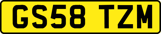 GS58TZM