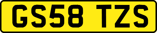 GS58TZS