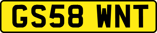 GS58WNT