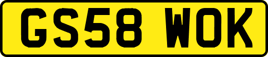GS58WOK