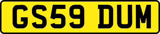 GS59DUM