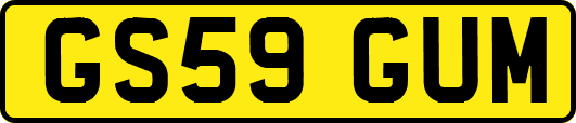 GS59GUM