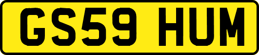 GS59HUM