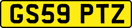 GS59PTZ