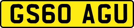 GS60AGU